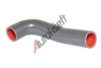 BUGIAD Hadice plnic�ho vzduchu BGD 88699, 88699