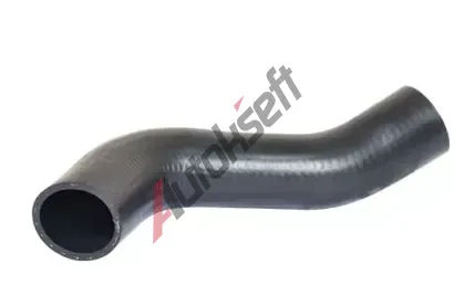 BUGIAD Hadice plnicho vzduchu BGD 88700, 88700