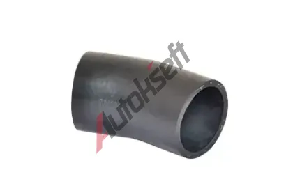 BUGIAD Hadice plnicho vzduchu BGD 88703, 88703