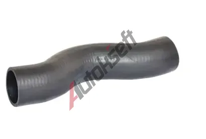 BUGIAD Hadice plnicho vzduchu BGD 88704, 88704