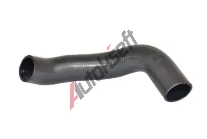 BUGIAD Hadice plnic�ho vzduchu BGD 88705, 88705