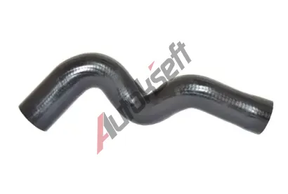 BUGIAD Hadice plnic�ho vzduchu BGD 88714, 88714