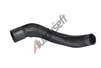 BUGIAD Hadice plnicho vzduchu BGD 88728, 88728