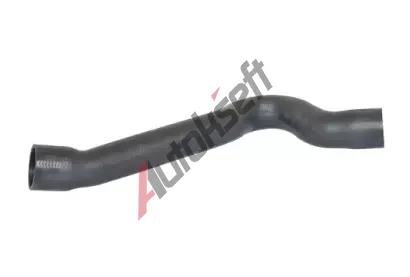 BUGIAD Hadice plnic�ho vzduchu BGD 88729, 88729