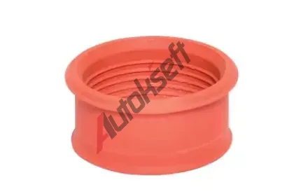 BUGIAD Hadice plnicho vzduchu BGD 88747, 88747