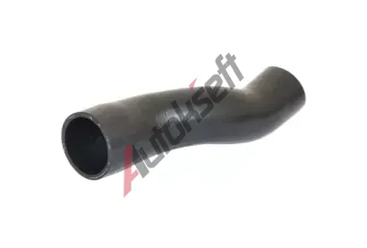 BUGIAD Hadice plnicho vzduchu BGD 88805, 88805