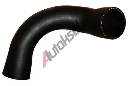 BUGIAD Hadice plnicho vzduchu BGD 88831, 88831