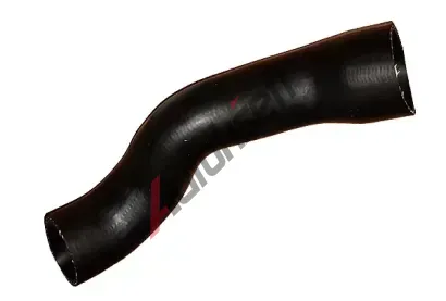 BUGIAD Hadice plnicho vzduchu BGD 88834, 88834