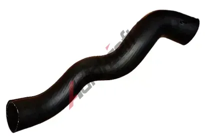 BUGIAD Hadice plnicho vzduchu BGD 88837, 88837