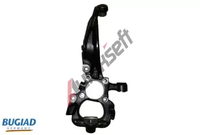 BUGIAD Čep nápravy zavěšení kol BGD BSP25381, BSP25381 BUGIAD Čep nápravy zavěšení kol BGD BSP25381, BSP25381