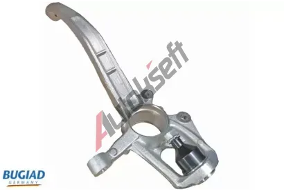 BUGIAD Čep nápravy zavěšení kol BGD BSP25445, BSP25445 BUGIAD Čep nápravy zavěšení kol BGD BSP25445, BSP25445