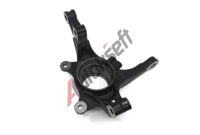 BUGIAD Čep nápravy zavěšení kol BGD BSP25641, BSP25641 BUGIAD Čep nápravy zavěšení kol BGD BSP25641, BSP25641