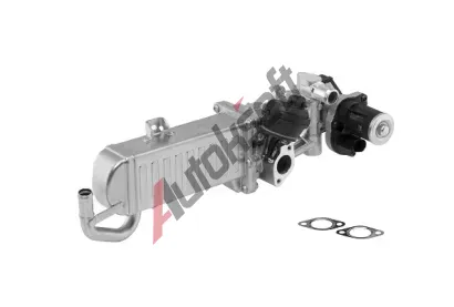 BorgWarner AGR modul OE-Version/Genuine BGW 710861D, 710861D