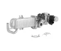 AGR modul&nbsp;BorgWarner&nbsp;&dash;&nbsp;BGW 710861D/1