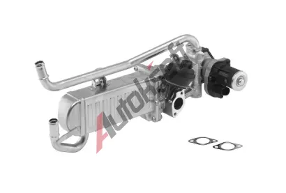 BorgWarner AGR modul OE-Version/Genuine BGW 710862D, 710862D