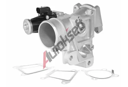 BorgWarner AGR ventil BGW 729005D, 729005D