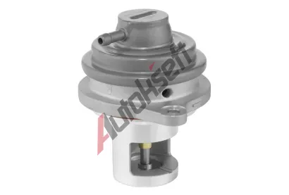 BorgWarner AGR ventil BGW 729007D, 729007D