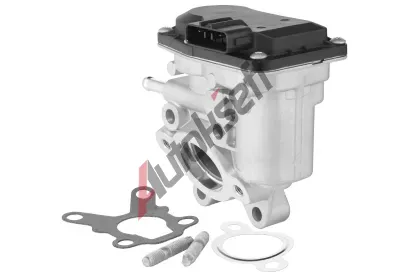 BorgWarner AGR ventil BGW 729015D, 729015D