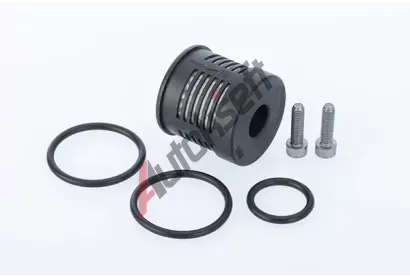 BorgWarner Hydraulick� filtr haldex spojky Gen I BGW DS108190, DS108190