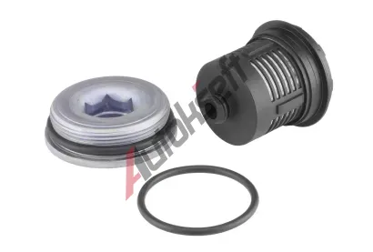 BorgWarner Hydraulick filtr haldex spojky Gen II BGW DS120456, DS120456