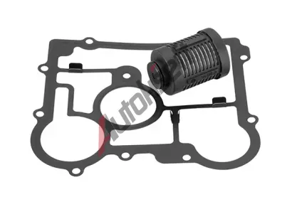 BorgWarner Hydraulick filtr haldex spojky Gen IV BGW DS2006273, DS2006273