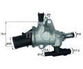 Termostat chladiva BEHR THERMOT-TRONIK ‐ BH TI 142 83