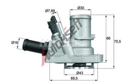 BEHR THERMOT-TRONIK Termostat chladiva BH TI 144 88, TI 144 88