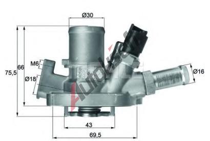 BEHR THERMOT-TRONIK Termostat chladiva BH TI 151 80, TI 151 80