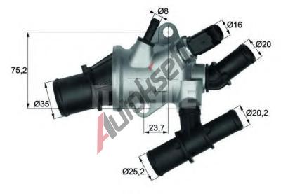 BEHR THERMOT-TRONIK Termostat - chladivo BH TI 162 88, TI 162 88