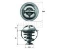 Termostat chladiva BEHR THERMOT-TRONIK ‐ BH TX 117 95D