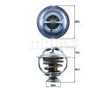 BEHR THERMOT-TRONIK Termostat chladiva ‐ BH TX 123 95D