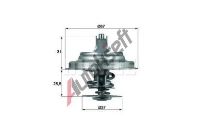 BEHR THERMOT-TRONIK Termostat chladiva BH TX 25 71D, TX 25 71D