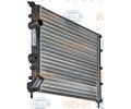 BEHR HELLA SERVICE Chladi vody BHS 8MK 376 716-161, 8MK 376 716-161