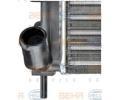BEHR HELLA SERVICE Chladi vody BHS 8MK 376 716-161, 8MK 376 716-161