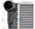 BEHR HELLA SERVICE Chladi vody BHS 8MK 376 716-271, 8MK 376 716-271