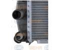 BEHR HELLA SERVICE Chladi vody BHS 8MK 376 719-181, 8MK 376 719-181