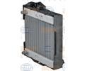 BEHR HELLA SERVICE Chladi vody BHS 8MK 376 746-511, 8MK 376 746-511