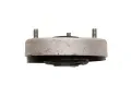 BILSTEIN Loisko uloen tlumie BILSTEIN - B1 Service Parts BIL 12-224302, 12-224302