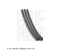 Ozuben� kl�nov� �emen&nbsp;BLUE PRINT&nbsp;&dash;&nbsp;BLP AD03R872