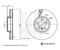 BLUE PRINT Brzdov kotou - 348 mm BLP ADBP430020, ADBP430020