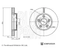 BLUE PRINT Brzdov kotou - 255 mm BLP ADBP430029, ADBP430029