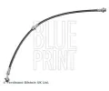 Brzdov� hadice&nbsp;BLUE PRINT&nbsp;&dash;&nbsp;BLP ADBP530053