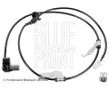 Snma potu otek kol BLUE PRINT ‐ BLP ADBP710031