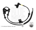 Snma potu otek kol BLUE PRINT ‐ BLP ADBP710056