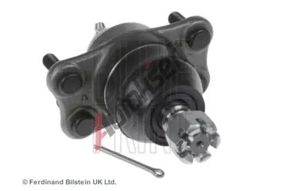 BLUE PRINT ep ramene BLP ADD68629, ADD68629