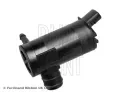 Vodn epadlo ostikovae skel BLUE PRINT ‐ BLP ADG00308