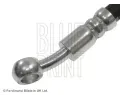 BLUE PRINT Brzdov hadice BLP ADG053181, ADG053181
