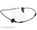 Snma potu otek kol BLUE PRINT ‐ BLP ADG07126