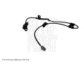 Snma potu otek kol BLUE PRINT ‐ BLP ADG07167