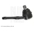 BLUE PRINT ep ramene BLP ADG08613, ADG08613